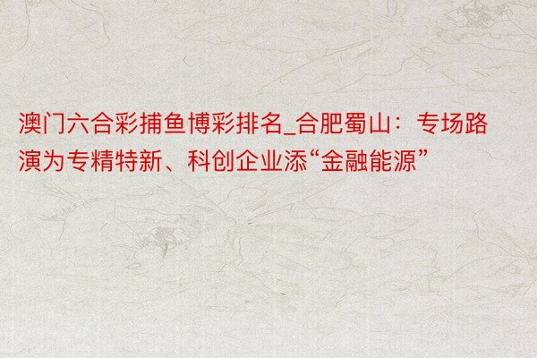 澳门六合彩捕鱼博彩排名_合肥蜀山：专场路演为专精特新、科创企业添“金融能源”